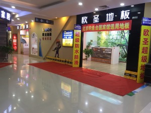公司介绍